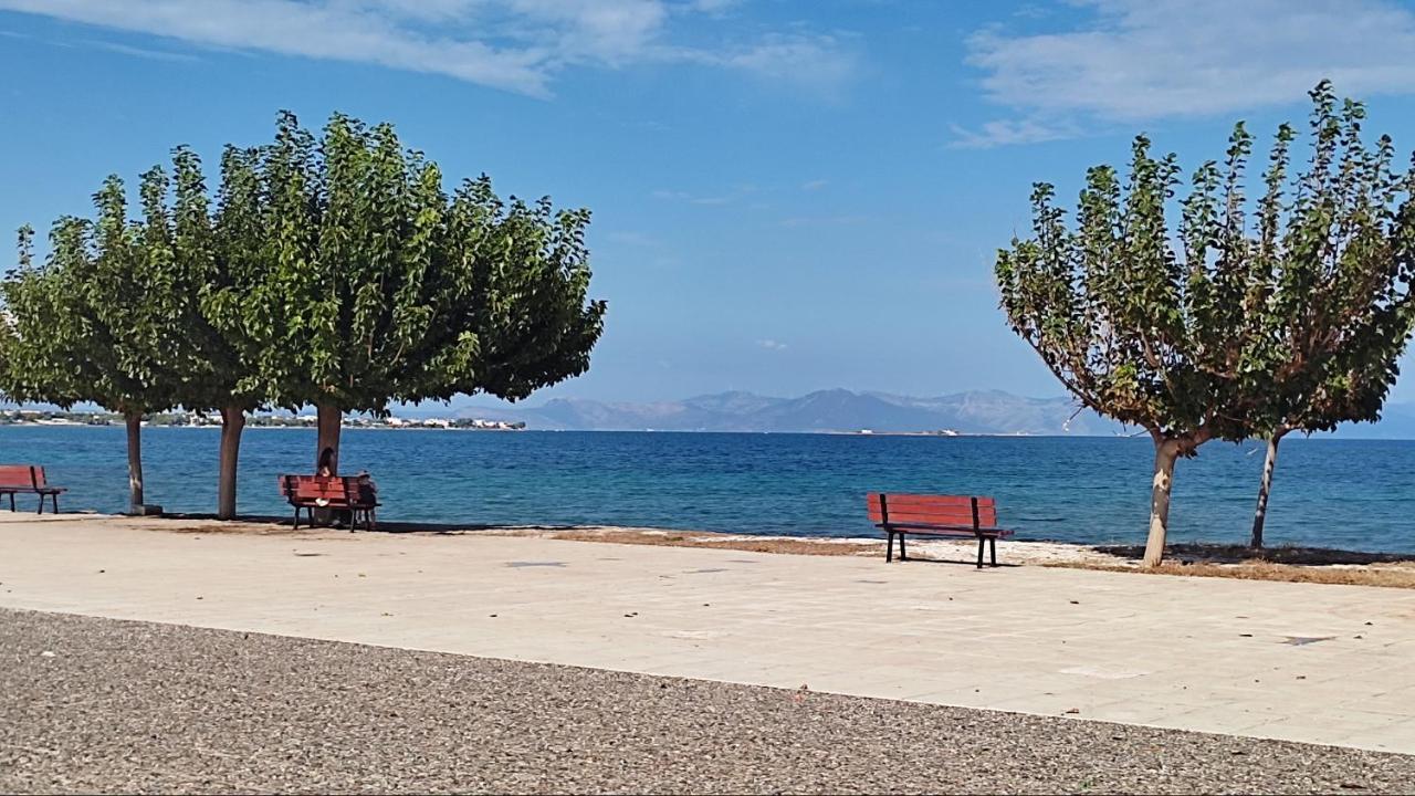 Beautiful Choice - Near Athens Airport - 50M From The Sea - Iq+ Apartamento Loútsa Exterior foto