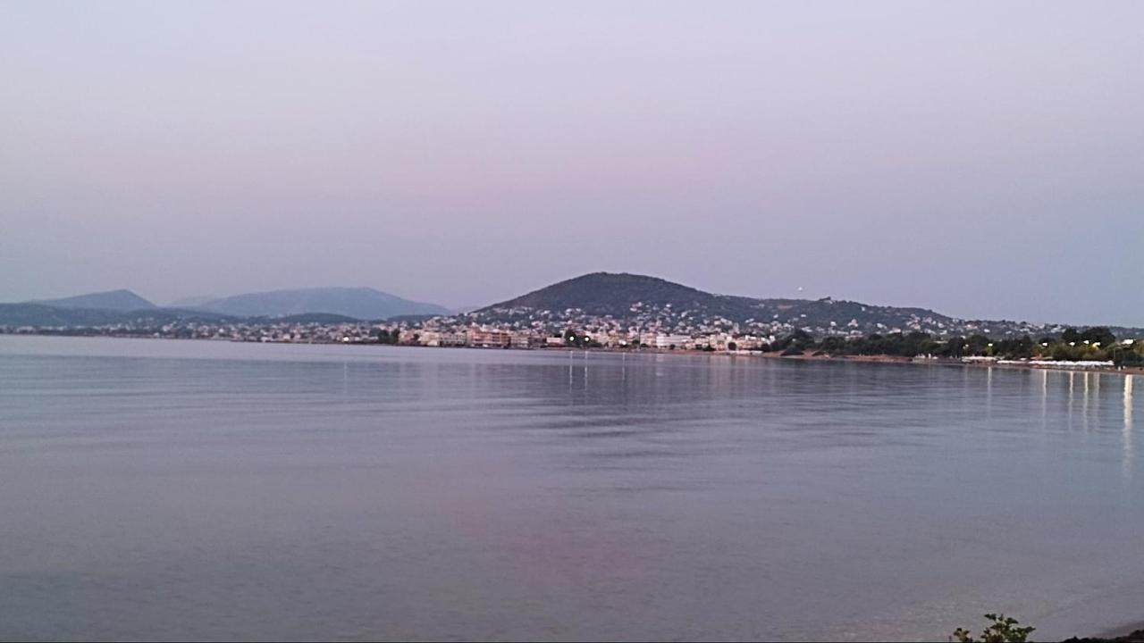 Beautiful Choice - Near Athens Airport - 50M From The Sea - Iq+ Apartamento Loútsa Exterior foto